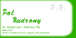 pal mudrony business card