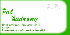 pal mudrony business card